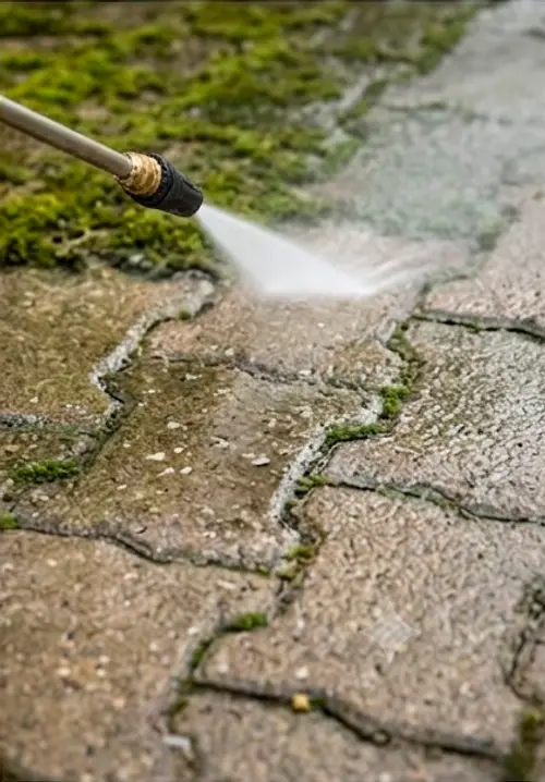 Pressure Washing vs Replacement in Oldland